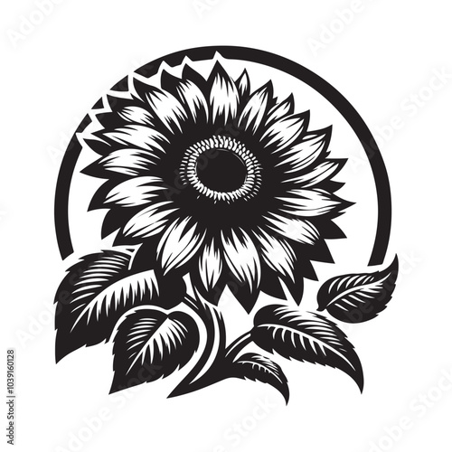 sunflower vector silhouette