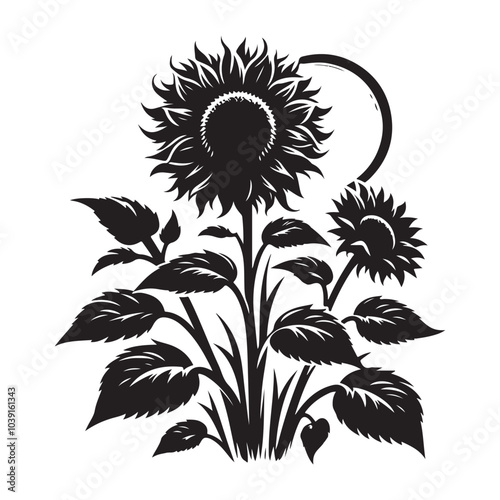 sunflower vector silhouette