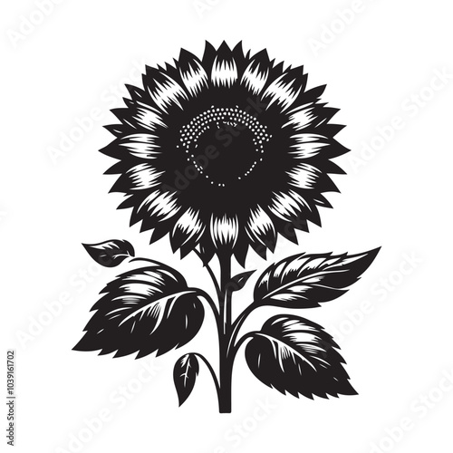 sunflower vector silhouette