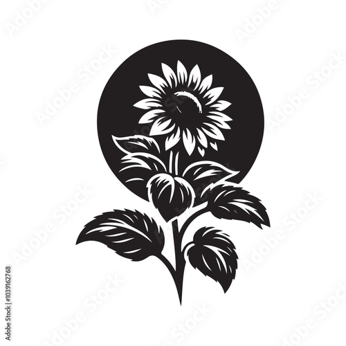 sunflower vector silhouette