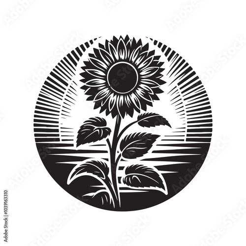 sunflower vector silhouette