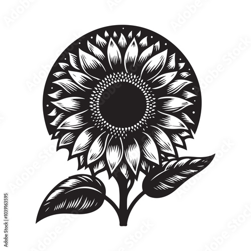 sunflower vector silhouette