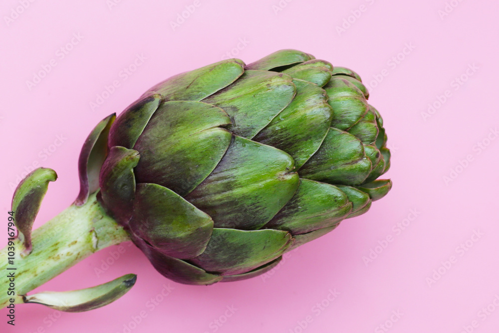 Obraz premium Purple artichoke on pink background.