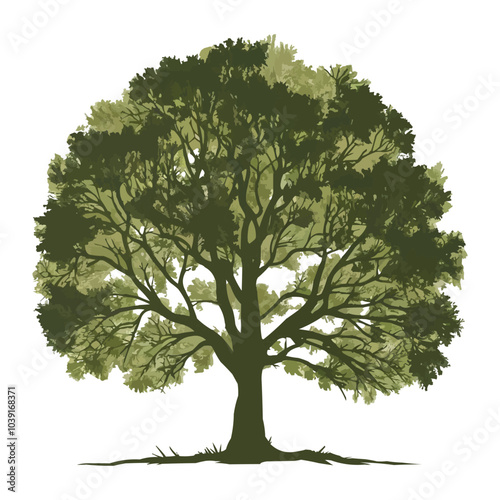 
Design a realistic tree silhouette in vector style, showcasing its wide, dense canopy with finely detailed branches and leaves 