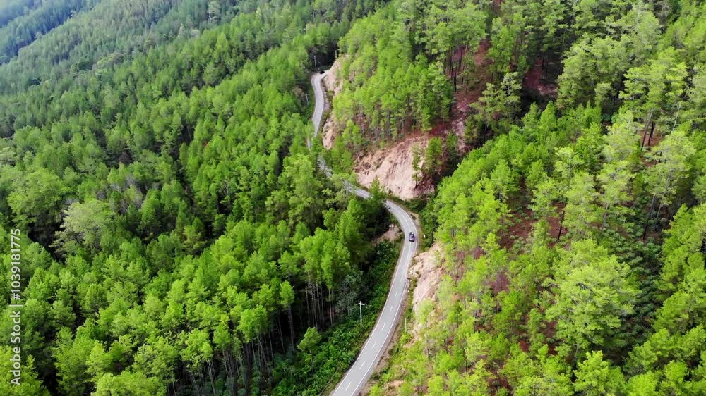 Aerial video of a black car passing on a highway in the middle of a pine forest Aerial video of a black car passing on a highway in the middle of a pine forest