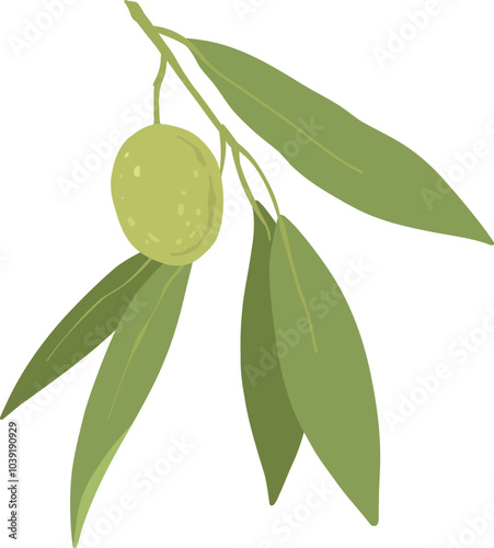 Cartoon green olives. Organic olive leaf branch, organic vegetarian food for logo design, natural green olives healthy product. Vector isolated icon on white background