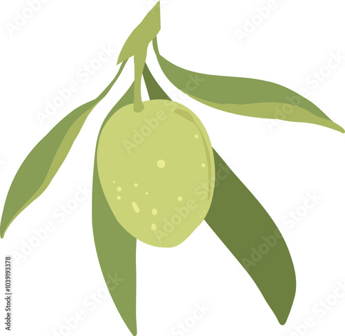 Cartoon green olives. Organic olive leaf branch, organic vegetarian food for logo design, natural green olives healthy product. Vector isolated icon on white background