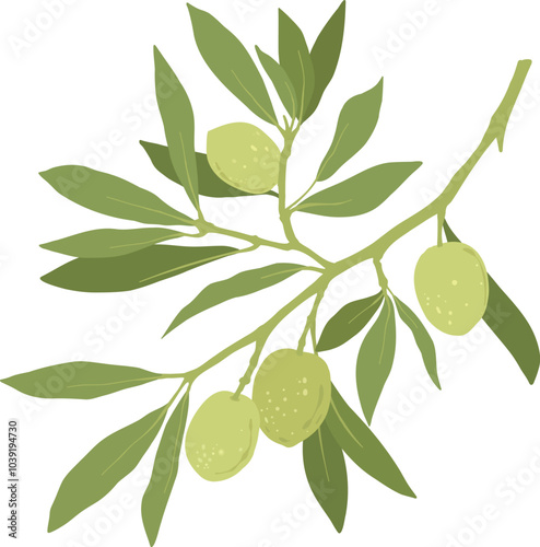 Cartoon green olives. Organic olive leaf branch, organic vegetarian food for logo design, natural green olives healthy product. Vector isolated icon on white background