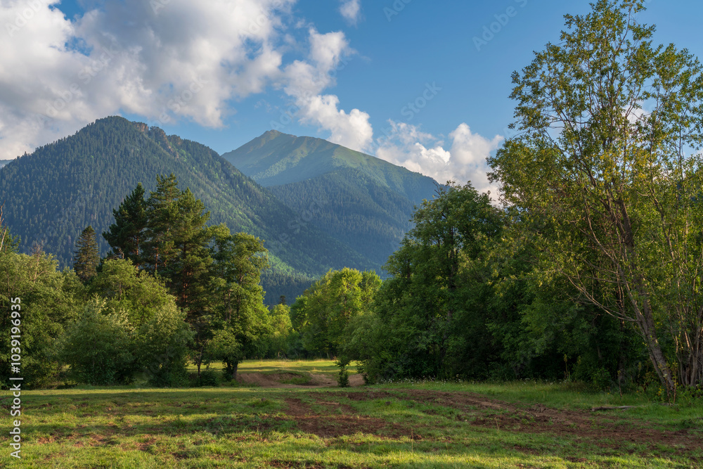 Naklejka premium View of the foothills of the North Caucasus mountains near the village of Arkhyz on a summer sunny morning, Karachay-Cherkessia, Russia