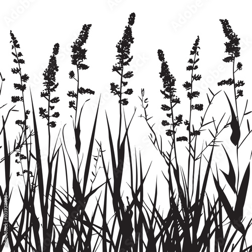 A meadow filled with tall grasses. silhouette illustration