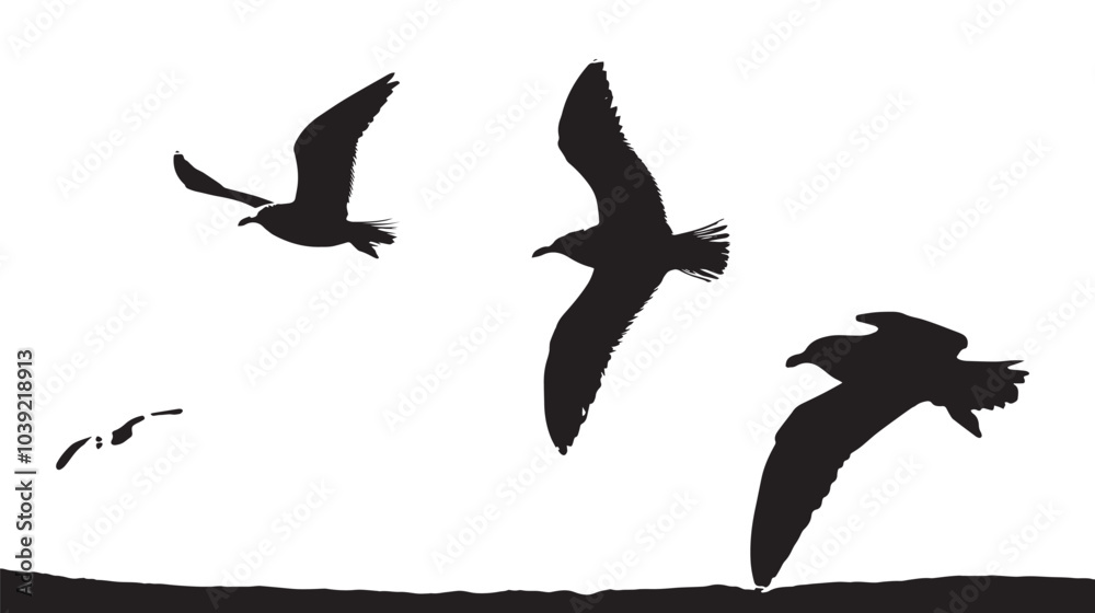Fototapeta premium A seagulls silhouette