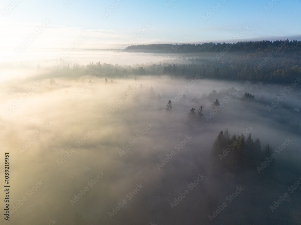 Fototapeta premium Early morning fog drifts through the Willamette Valley in West Linn, Oregon. This scenic area lies just south of the Pacific Northwest city of Portland.