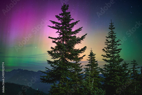 Lady Aurora visiting PWN