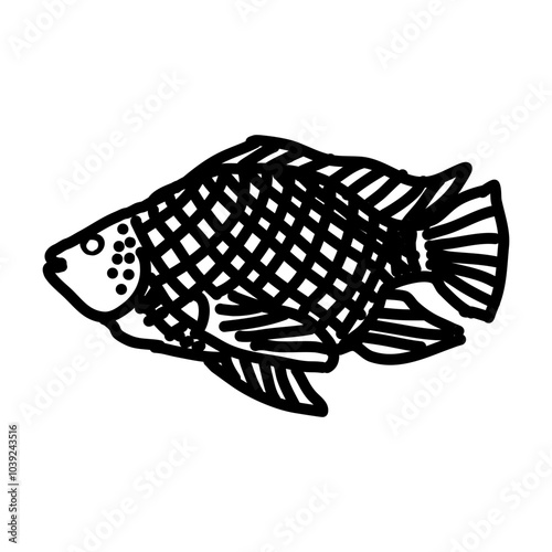 Tilapia fish