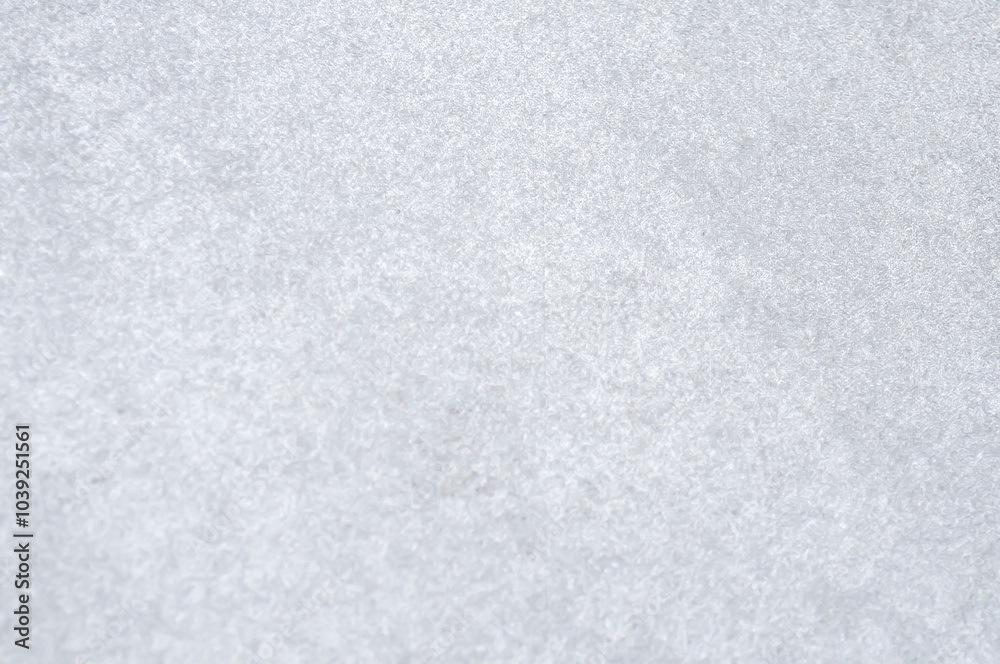 Fototapeta premium grey background or cement wall or grey wall, grey wallpaper or gray background