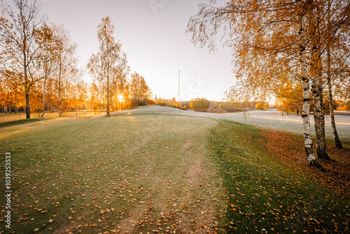Golden sunrise over a frosted golf course with scattered autumn leaves and birch trees, creating a serene natural landscape.. photo