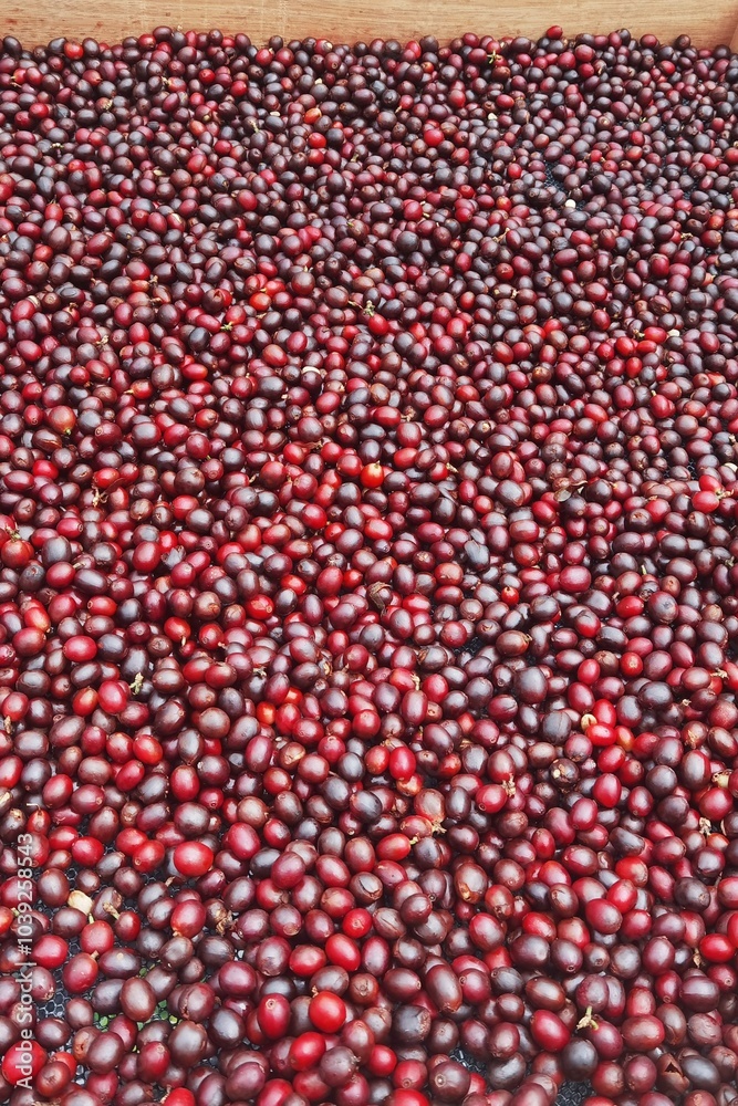 close up of fresh coffee beans for background close up of fresh coffee beans for background