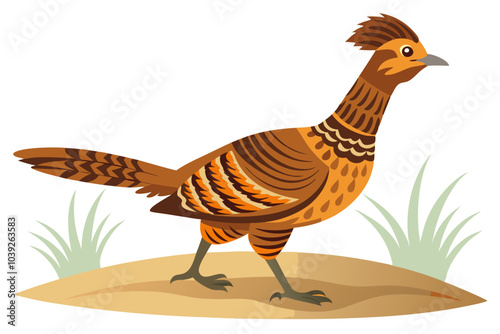 Adult ruffed grouse strutting on gravel track vector art illustration