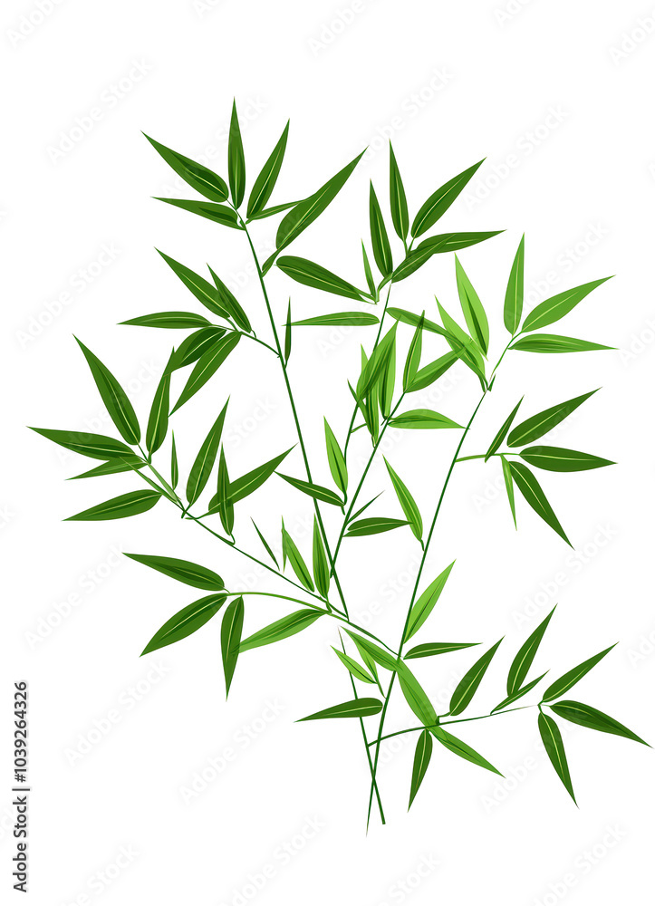 Green bamboo leaves Green bamboo leaves