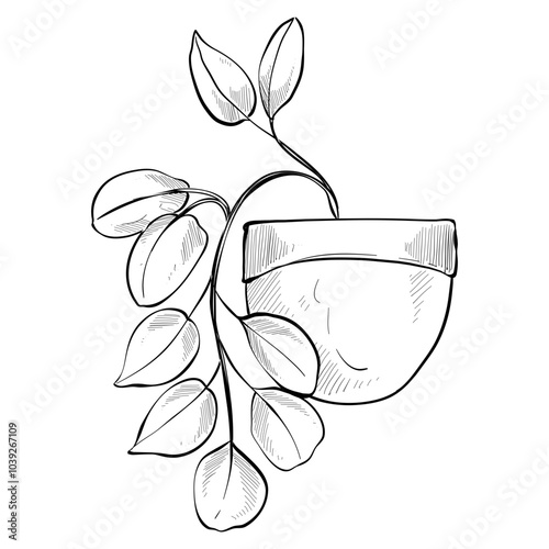 home plants handdrawn illustration