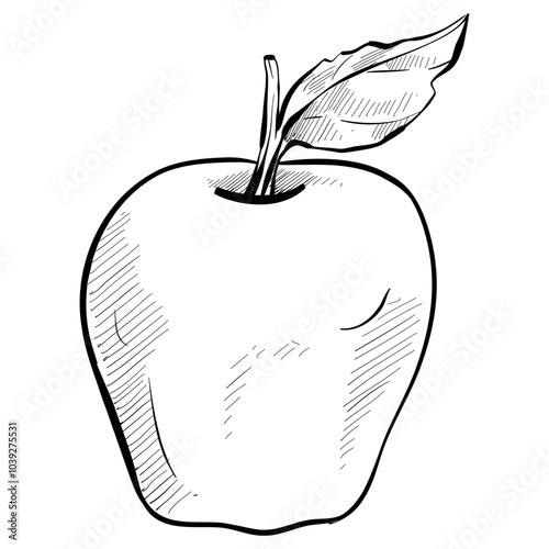 apple handdrawn illustration