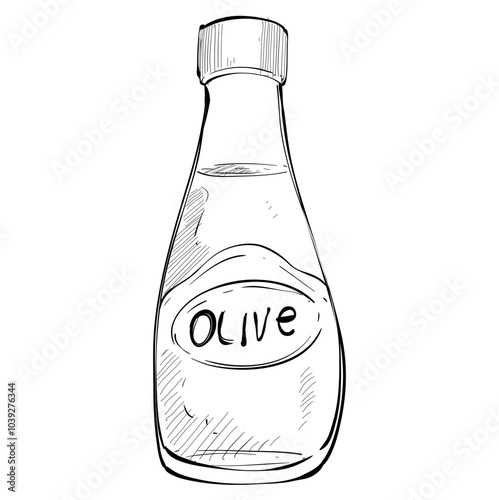 olive oil handdrawn illustration