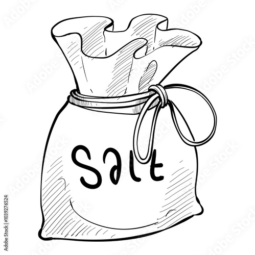 salt handdrawn illustration