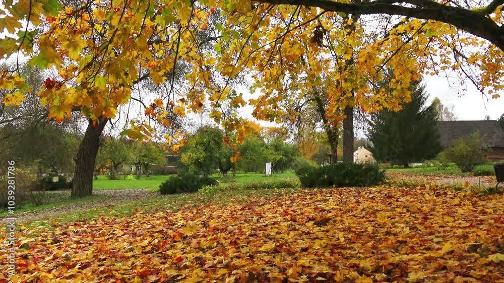 Beautiful autumn landscape in a country estate Beautiful autumn landscape in a country estate