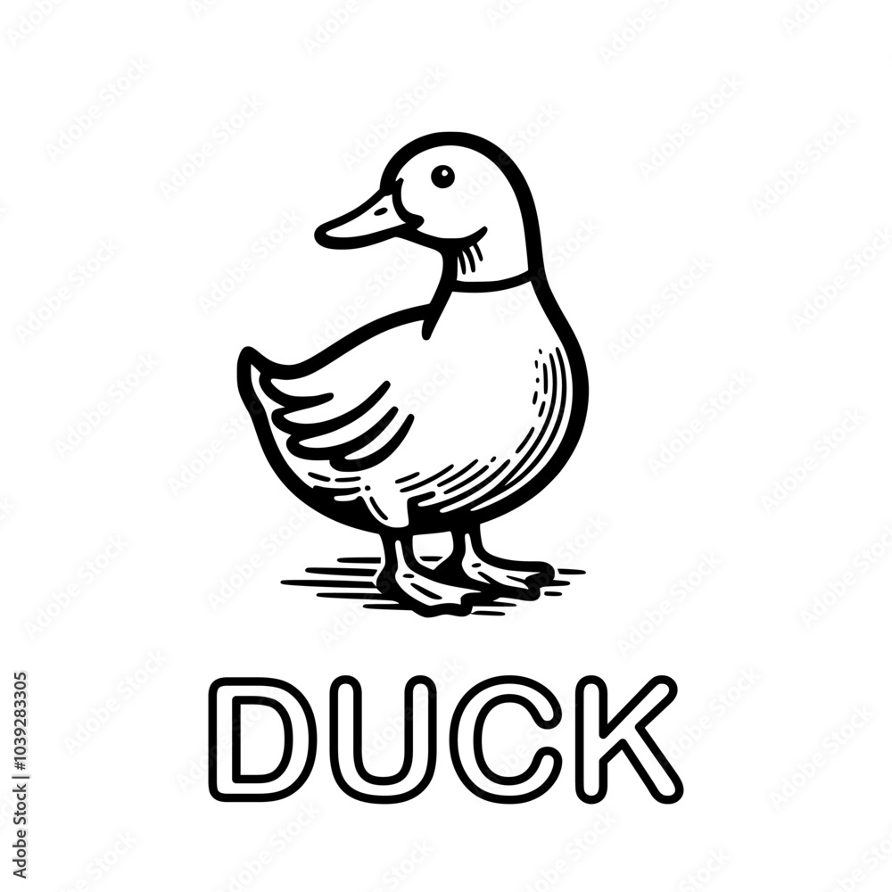 Cute outline drawing of a duck on a white background. vector illustration for a coloring book. Cute outline drawing of a duck on a white background. vector illustration for a coloring book.