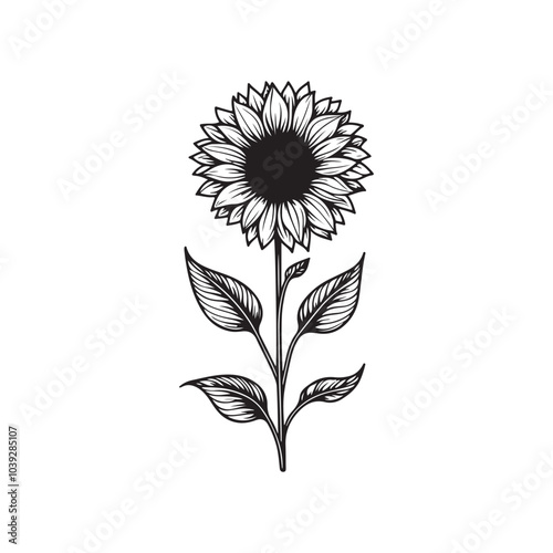 Hand-drawn set of sunflowers, flat minimalist black and white coloring page illustration of flower, adults and children vector sketch