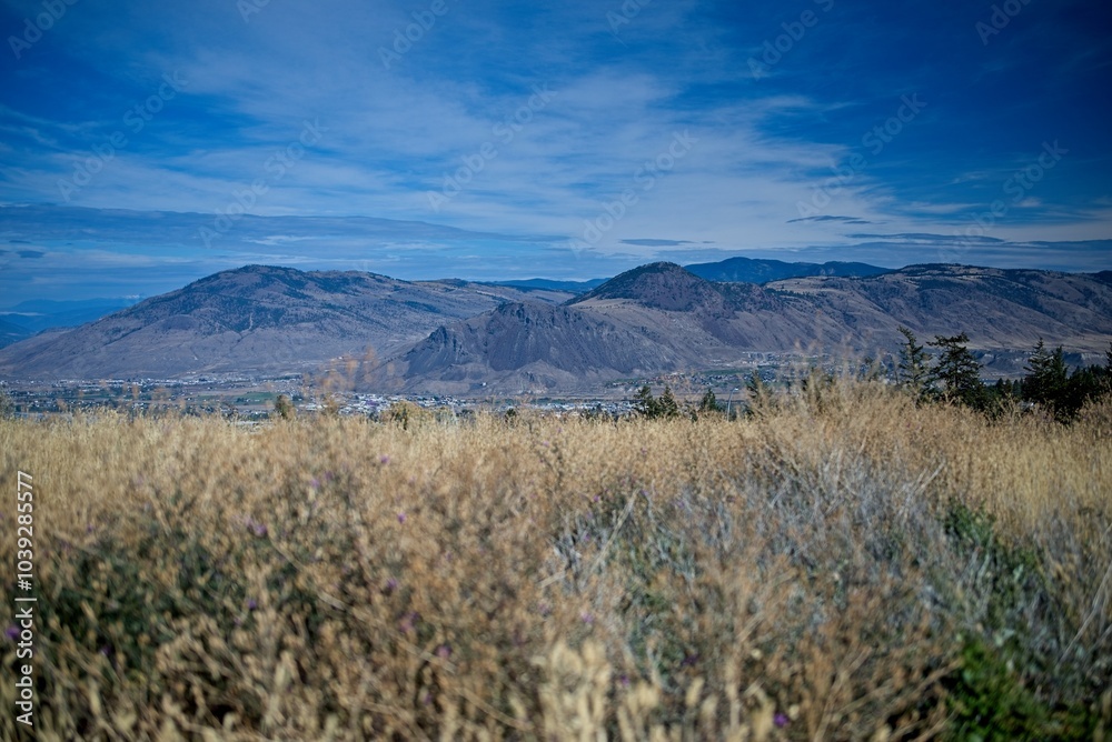Scenic Mountain Landscape with Golden Grasses Scenic Mountain Landscape with Golden Grasses
