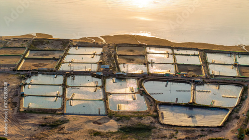 Aerial view of the prawn farm with aerator pump in front of Ninh Phuoc, Ninh Thuan, Vietnam. The growing aquaculture business continuously threatening the nearby wetlands. photo