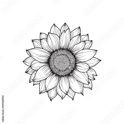 Sunflower flower outline illustration coloring book page design, Sunflower flower black and white line art drawing coloring book pages for children and adults