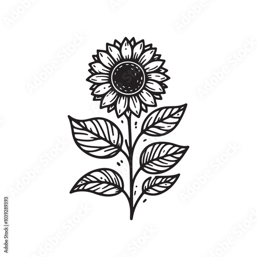 Sunflower flower vector black and white graphics isolated on a white background, linocut, realistic drawing, linear art. single sunflower