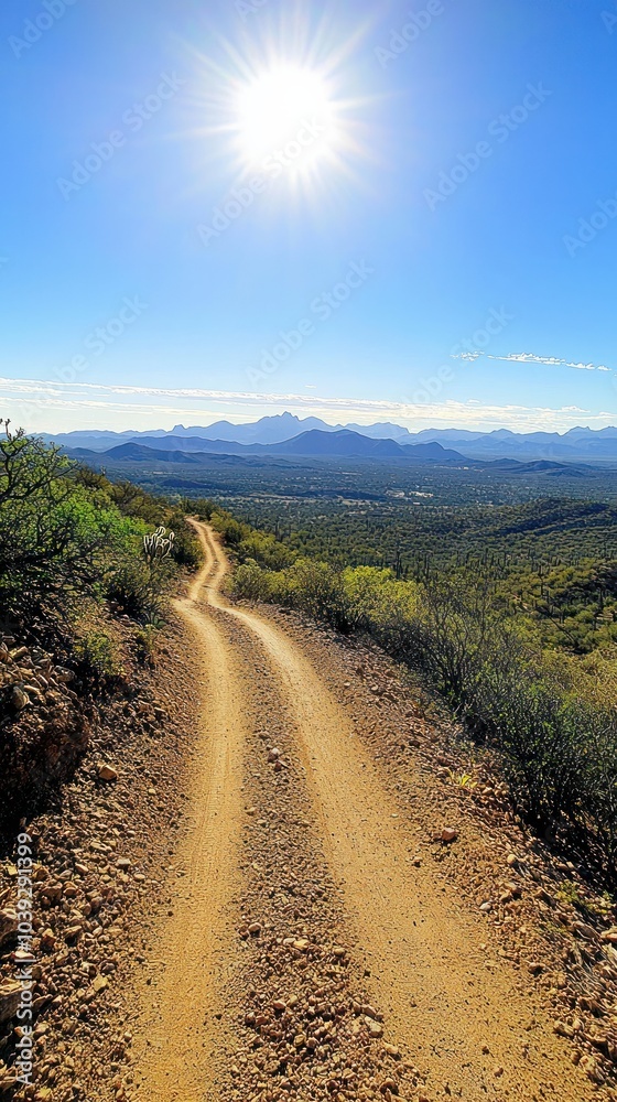 Naklejka premium Scenic Desert Trail Beneath a Bright Sun with Mountain Views in the Distance