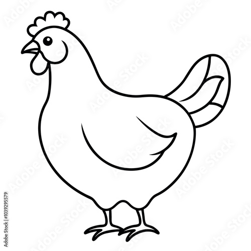 Chicken vector illustration.