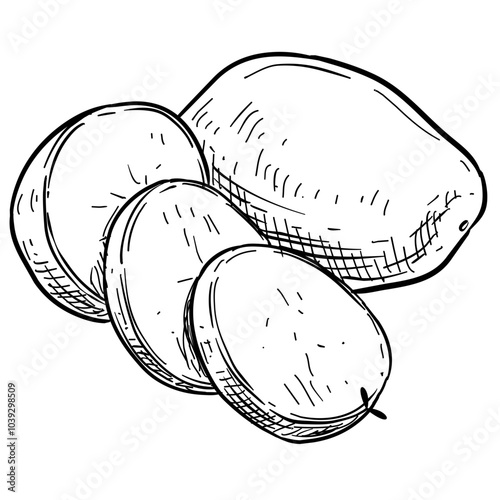 potato handdrawn illustration