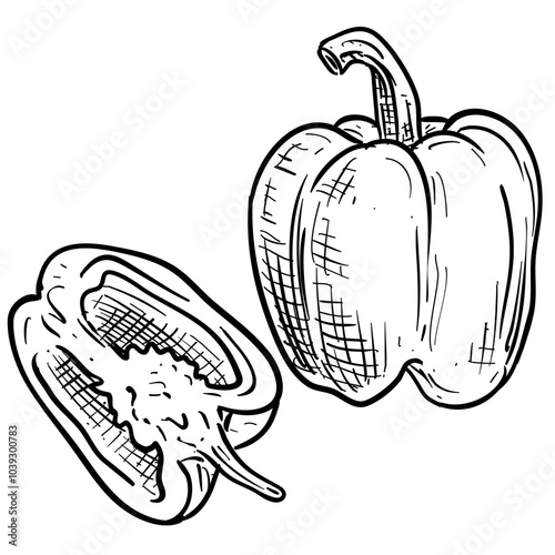 paprika handdrawn illustration