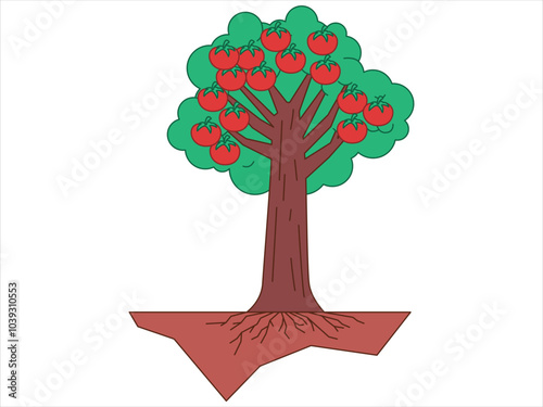 Fruit bearing tree harvest phase stage garden plant natural organic botanical plant fresh tomato colorful design icon set