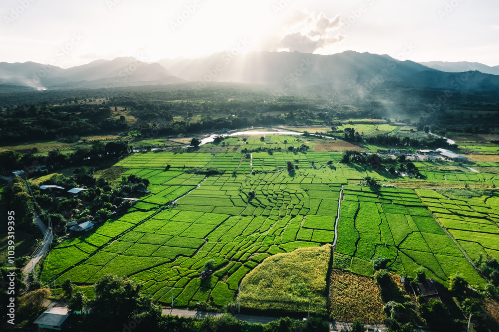 Fototapeta premium Aerial view rice fields in the evening in pai thailand