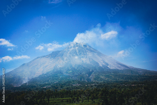 Scenic View of Mountain and Palm Trees Under Blue Sky