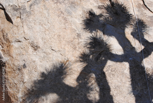 2020, Joshua Tree Shadows on Granite Rocks.