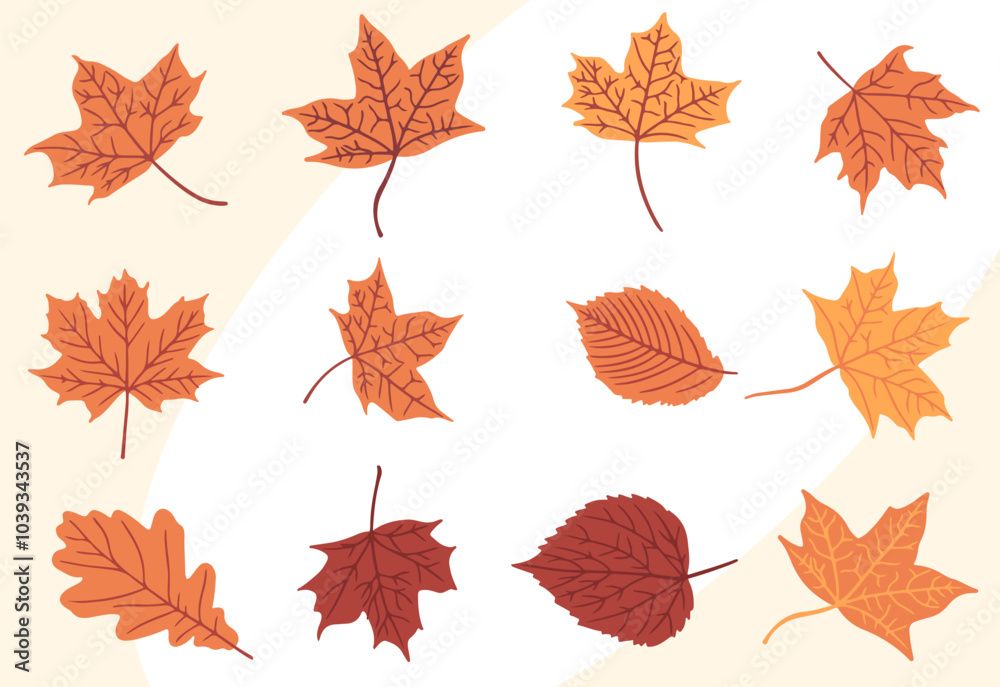 Fototapeta premium Collection of autumn leaves flat design