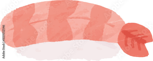 Hand-drawn color illustration of nigirizushi with boiled shrimp