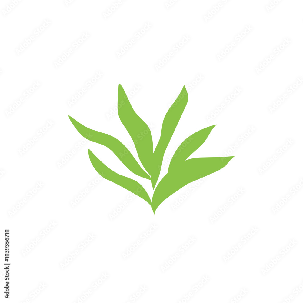 vector green tropical leaf vector green tropical leaf