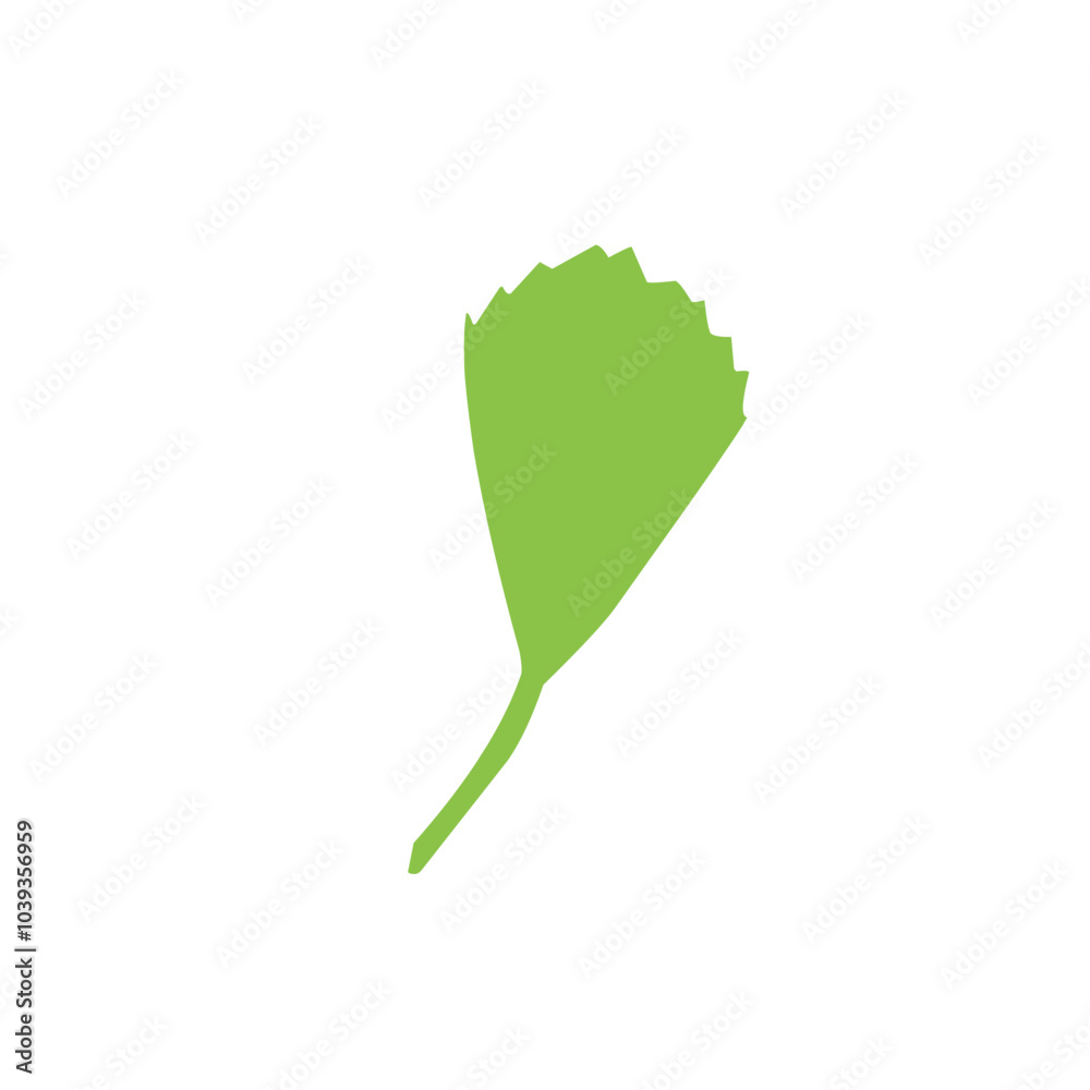 vector green tropical leaf vector green tropical leaf