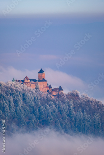 Château du Haut-Koenigsbourg en hiver