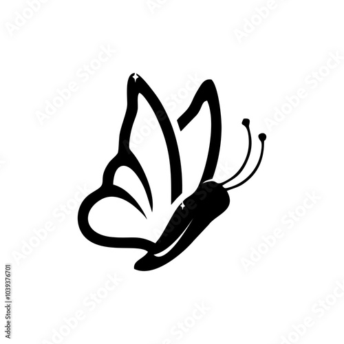 butterfly