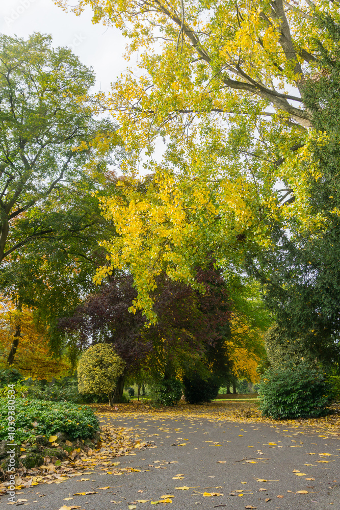 Naklejka premium Autumn time in a Park UK