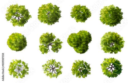 Vector watercolor green tree or forest top view isolated on white background for landscape plan and architecture drawing,plant for environment or garden,botanical element for exterior layout